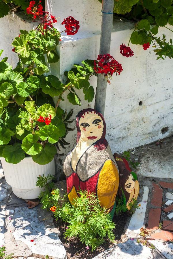 Nakou House Villa Vrachos Bagian luar foto